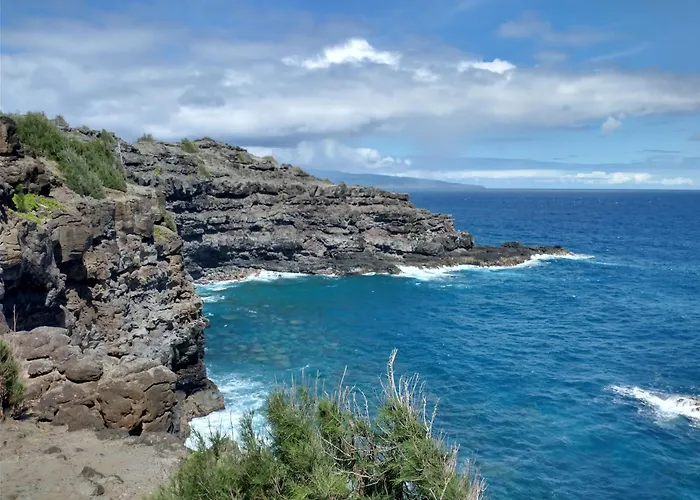 Hale Mai Hopohopo