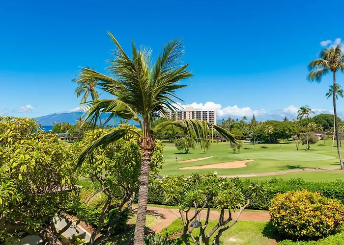 Maui Eldorado K211